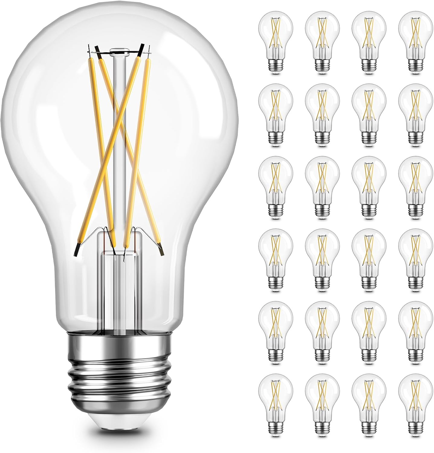 A19 LED Edison Bulbs, E26, 12 Pack, 2700 K