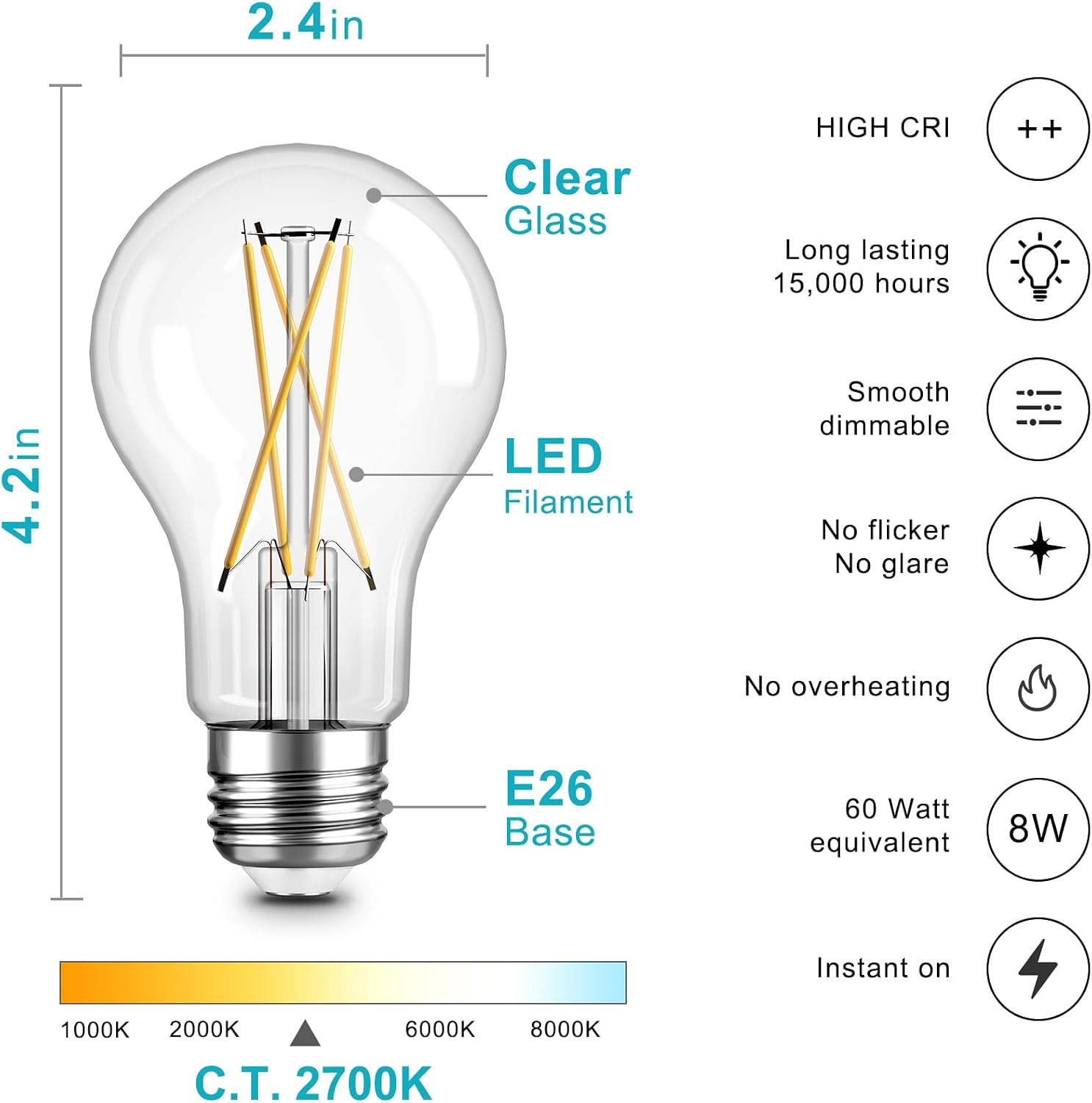 A19 LED Edison Bulbs, E26, 12 Pack, 2700 K