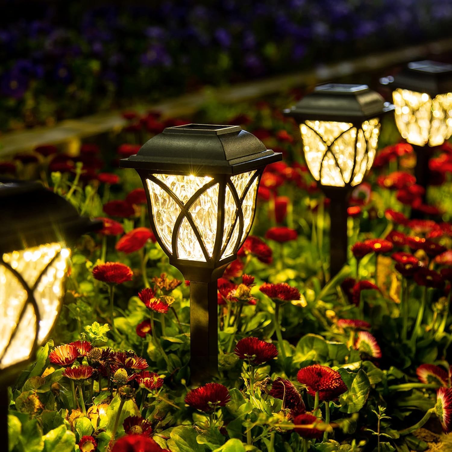 Solar Pathway & Garden Lights