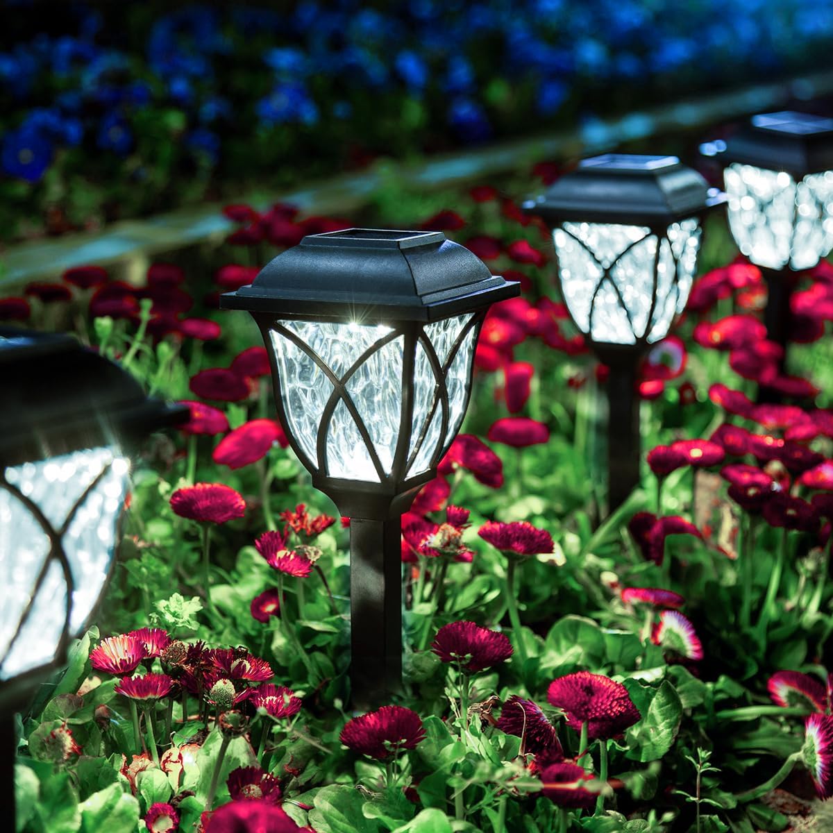 Solar Garden Lights, 6 Pack, Waterproof